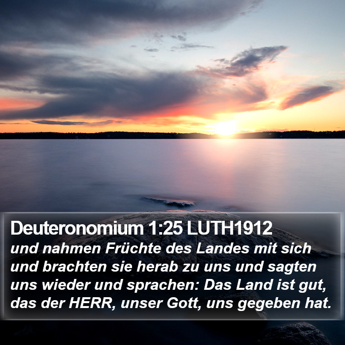 Deuteronomium 1:25 LUTH1912 Bible Study