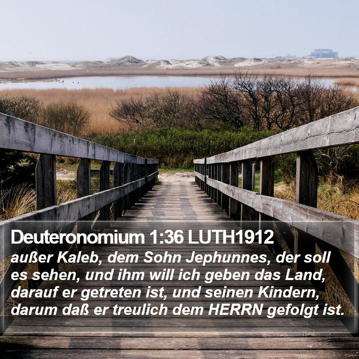 Deuteronomium 1:36 LUTH1912 Bible Study