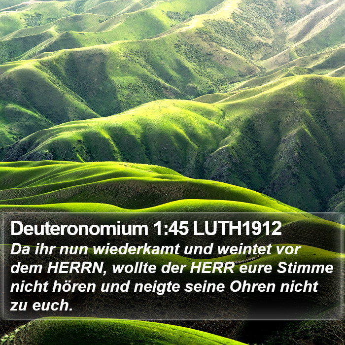 Deuteronomium 1:45 LUTH1912 Bible Study