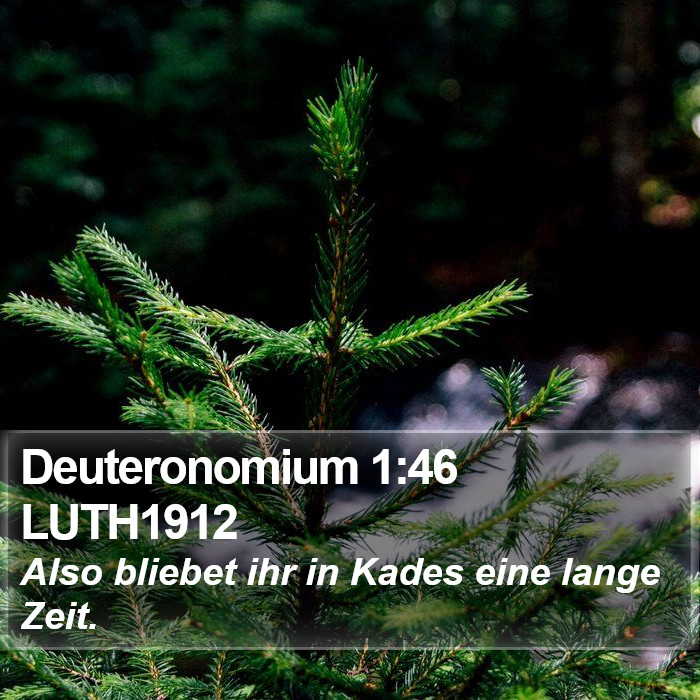 Deuteronomium 1:46 LUTH1912 Bible Study