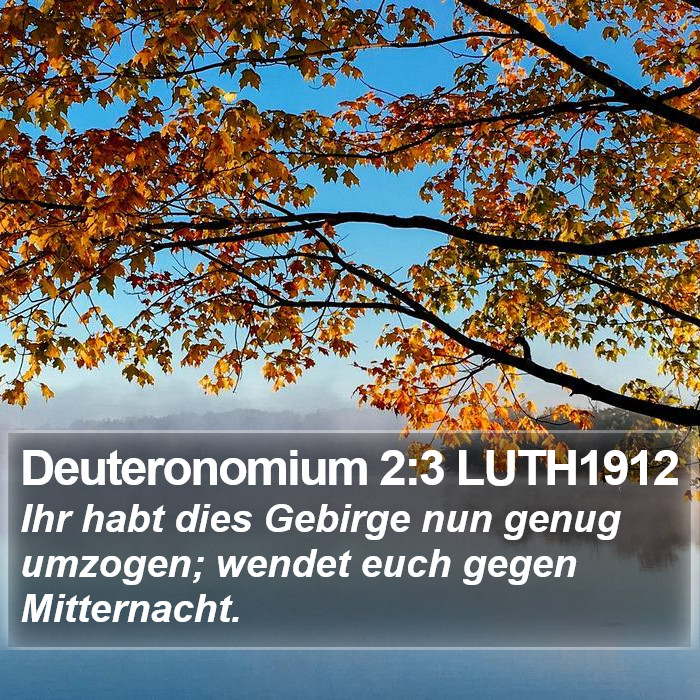 Deuteronomium 2:3 LUTH1912 Bible Study