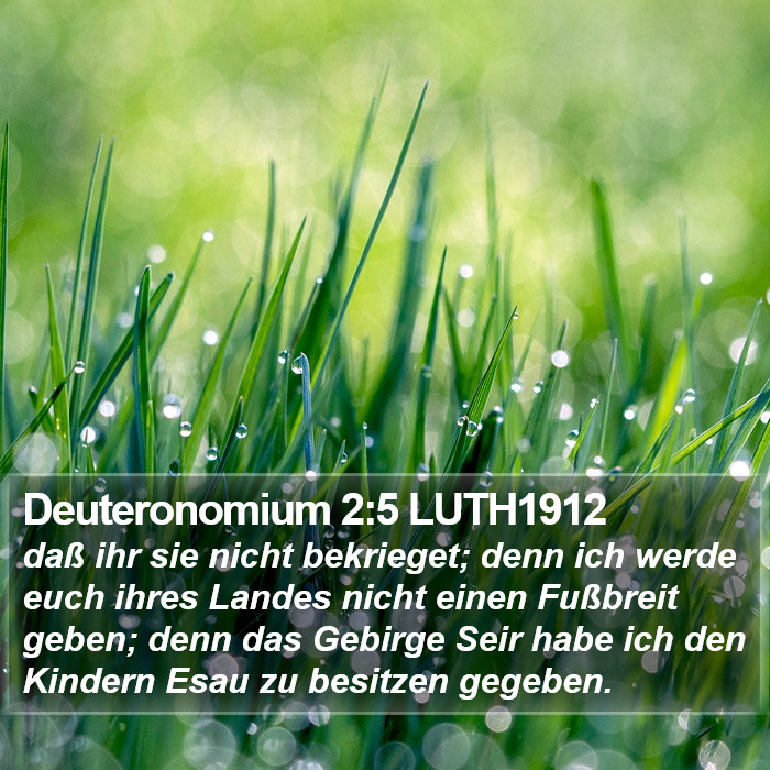 Deuteronomium 2:5 LUTH1912 Bible Study