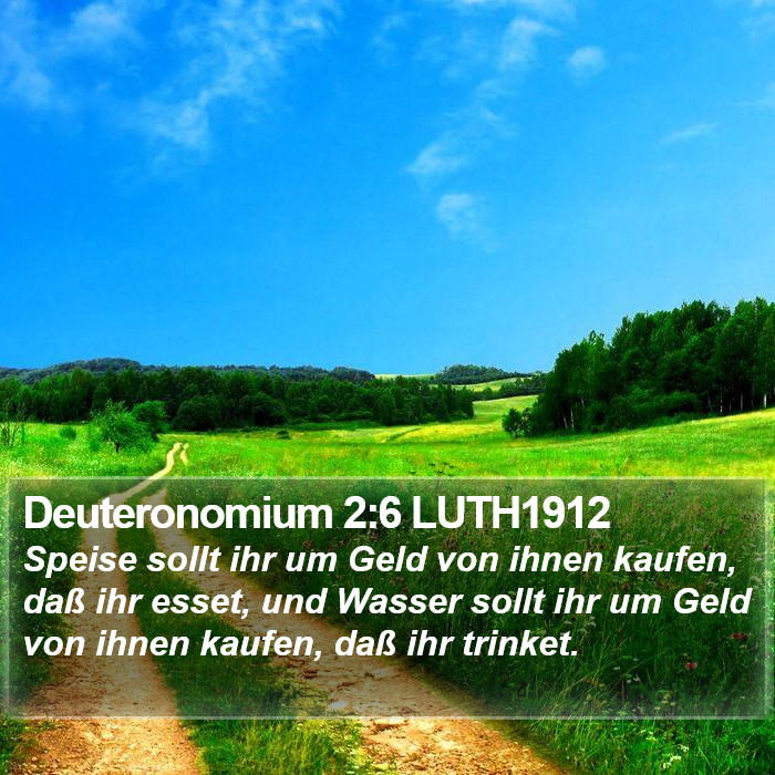 Deuteronomium 2:6 LUTH1912 Bible Study