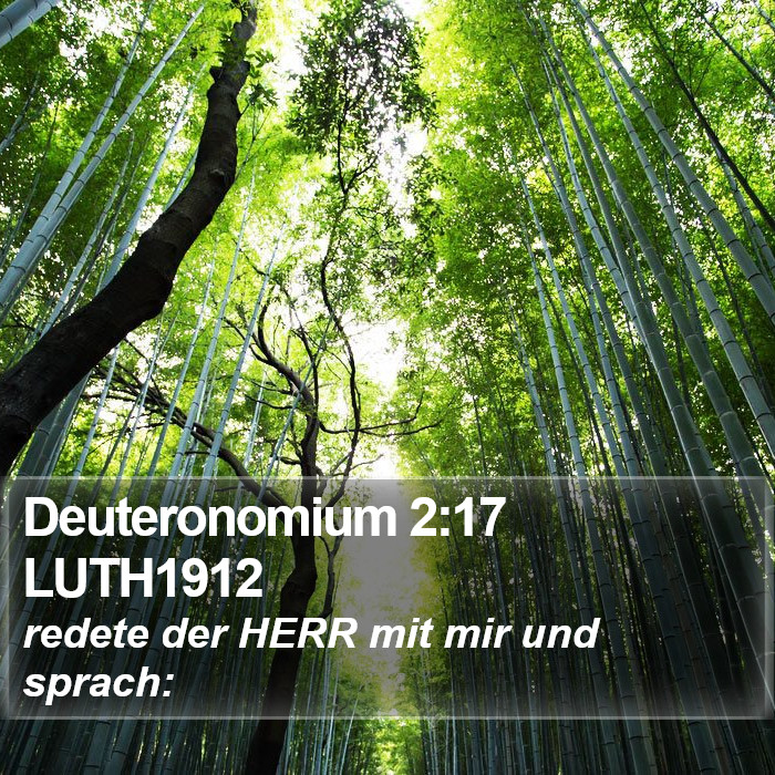 Deuteronomium 2:17 LUTH1912 Bible Study