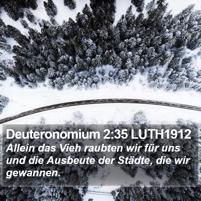 Deuteronomium 2:35 LUTH1912 Bible Study