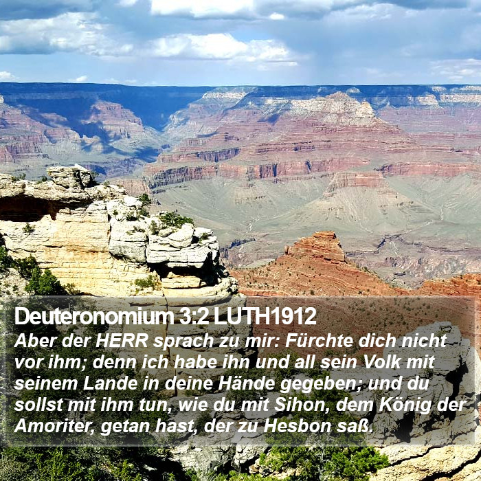 Deuteronomium 3:2 LUTH1912 Bible Study