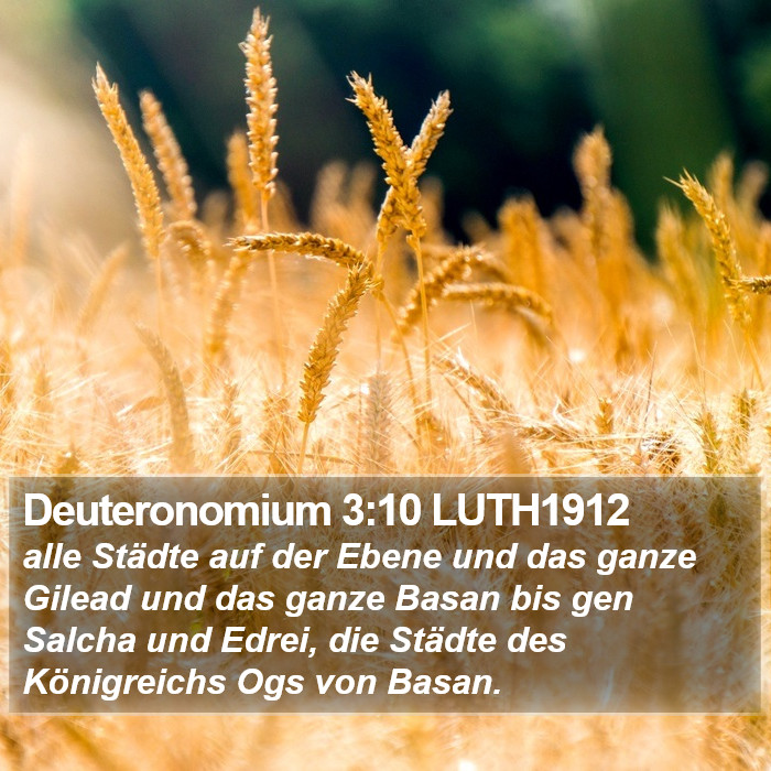 Deuteronomium 3:10 LUTH1912 Bible Study