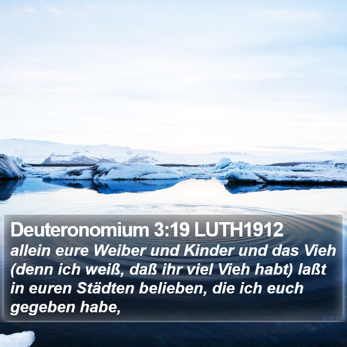 Deuteronomium 3:19 LUTH1912 Bible Study