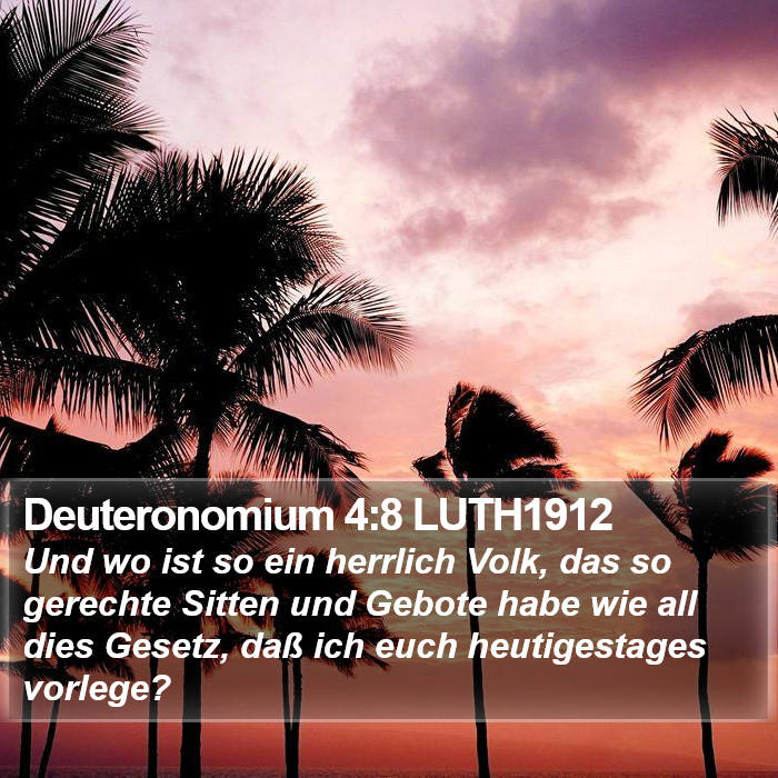 Deuteronomium 4:8 LUTH1912 Bible Study