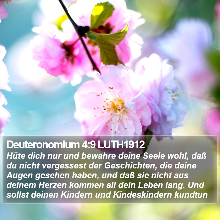 Deuteronomium 4:9 LUTH1912 Bible Study