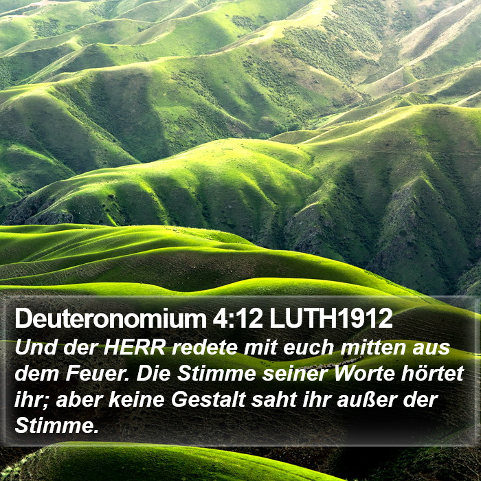 Deuteronomium 4:12 LUTH1912 Bible Study