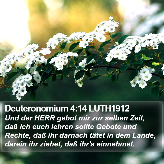 Deuteronomium 4:14 LUTH1912 Bible Study