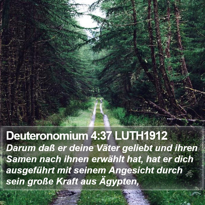 Deuteronomium 4:37 LUTH1912 Bible Study