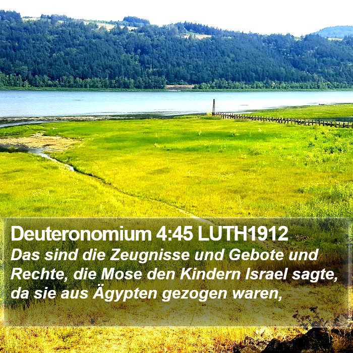 Deuteronomium 4:45 LUTH1912 Bible Study