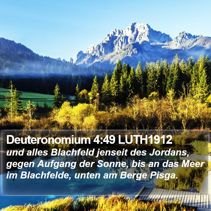 Deuteronomium 4:49 LUTH1912 Bible Study