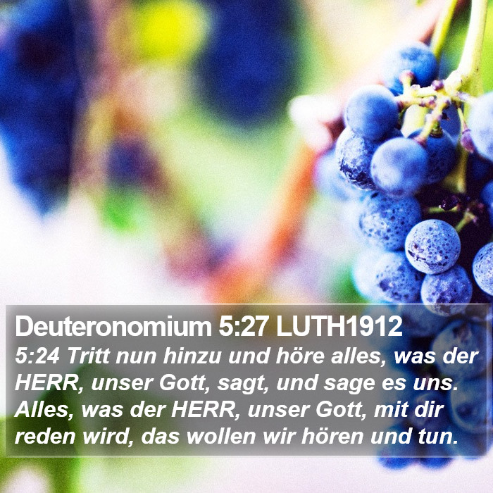Deuteronomium 5:27 LUTH1912 Bible Study