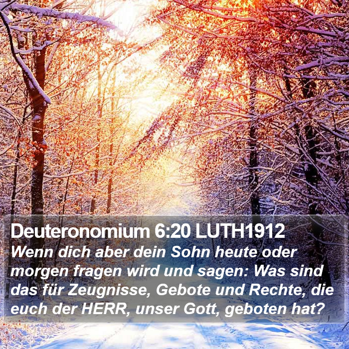 Deuteronomium 6:20 LUTH1912 Bible Study