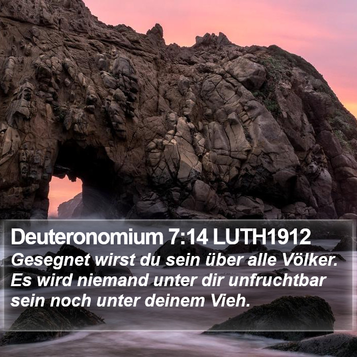 Deuteronomium 7:14 LUTH1912 Bible Study