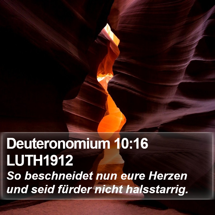 Deuteronomium 10:16 LUTH1912 Bible Study