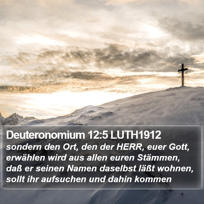 Deuteronomium 12:5 LUTH1912 Bible Study