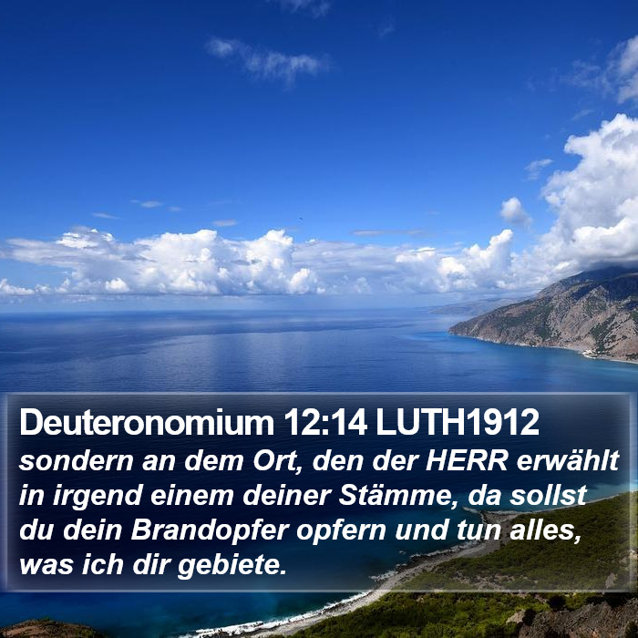Deuteronomium 12:14 LUTH1912 Bible Study