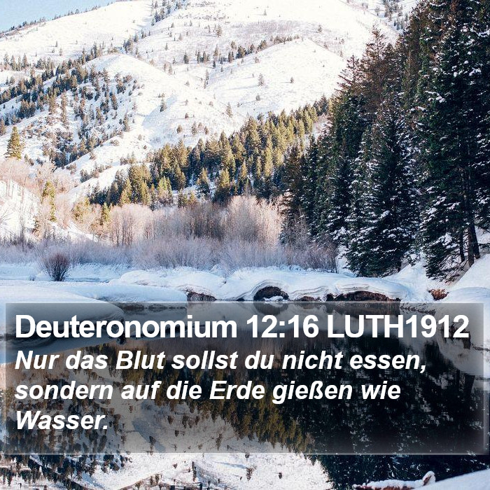Deuteronomium 12:16 LUTH1912 Bible Study