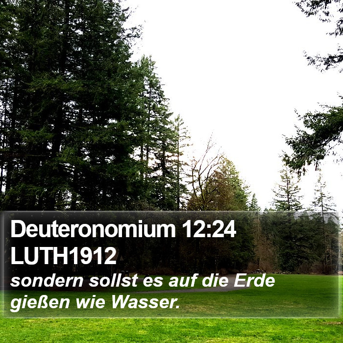 Deuteronomium 12:24 LUTH1912 Bible Study