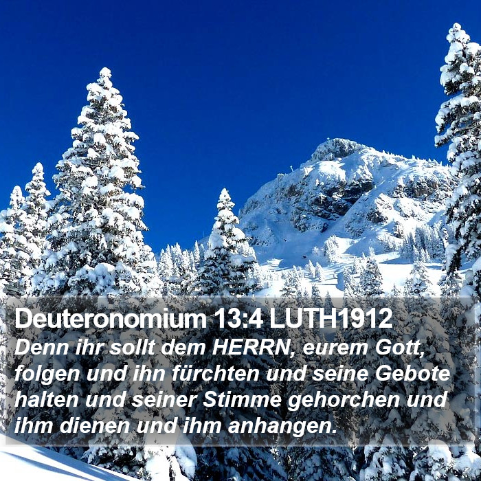 Deuteronomium 13:4 LUTH1912 Bible Study