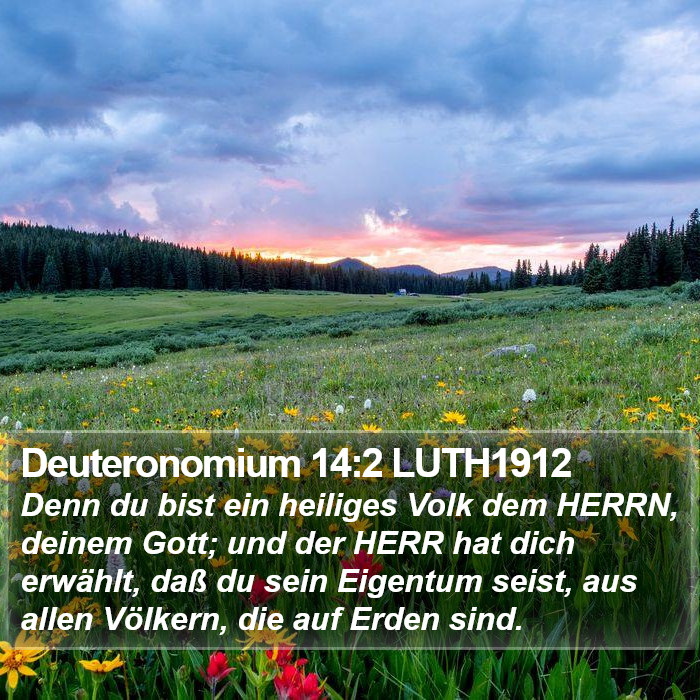 Deuteronomium 14:2 LUTH1912 Bible Study