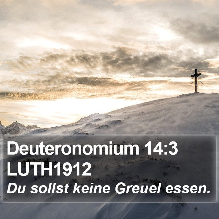 Deuteronomium 14:3 LUTH1912 Bible Study