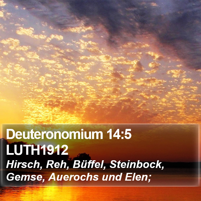 Deuteronomium 14:5 LUTH1912 Bible Study