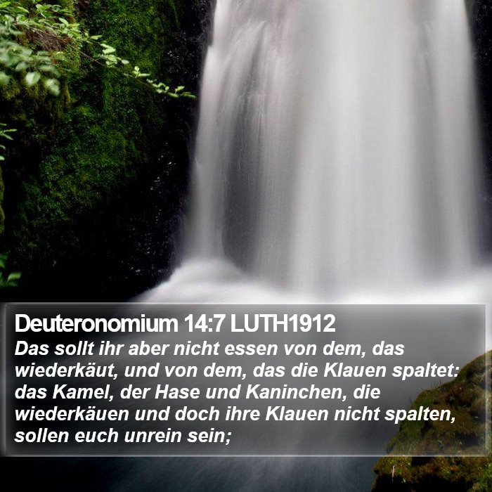 Deuteronomium 14:7 LUTH1912 Bible Study