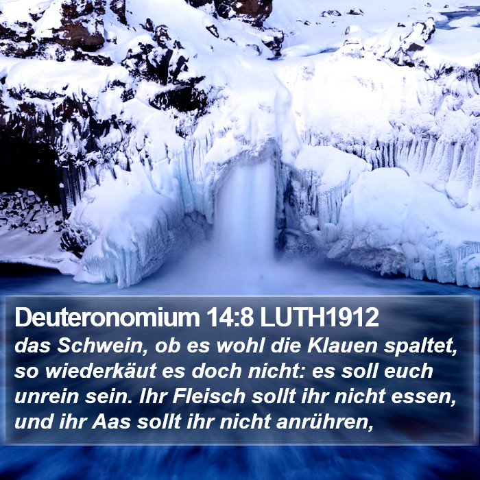 Deuteronomium 14:8 LUTH1912 Bible Study