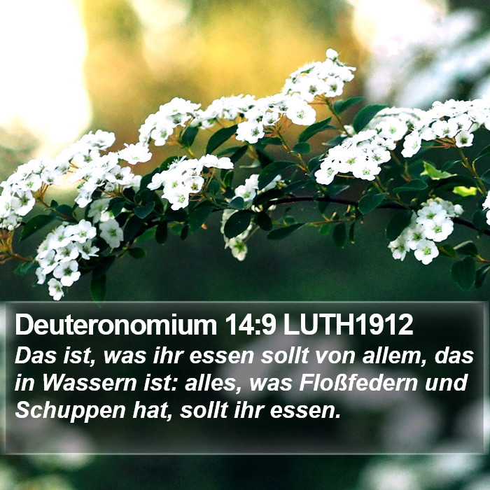 Deuteronomium 14:9 LUTH1912 Bible Study