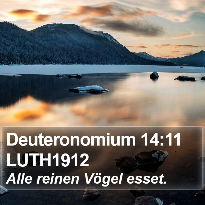 Deuteronomium 14:11 LUTH1912 Bible Study