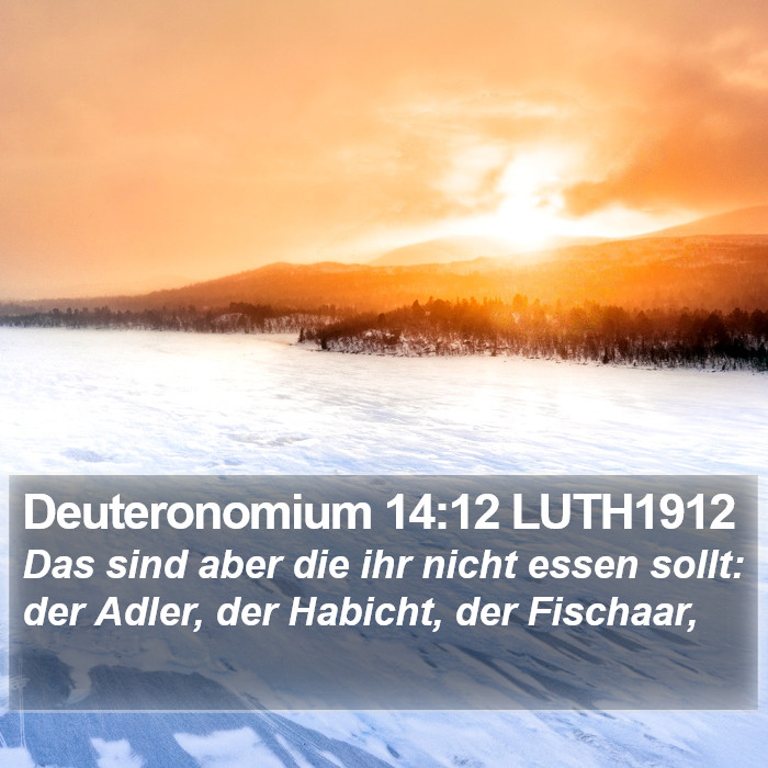Deuteronomium 14:12 LUTH1912 Bible Study