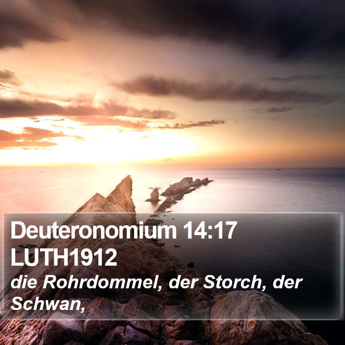 Deuteronomium 14:17 LUTH1912 Bible Study