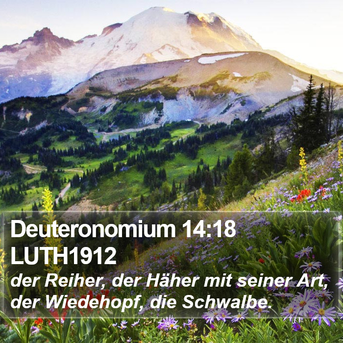 Deuteronomium 14:18 LUTH1912 Bible Study