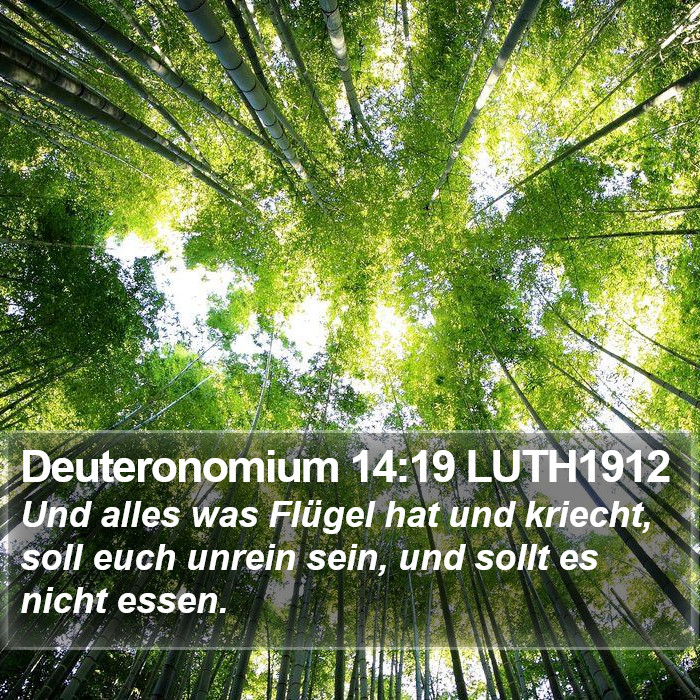 Deuteronomium 14:19 LUTH1912 Bible Study