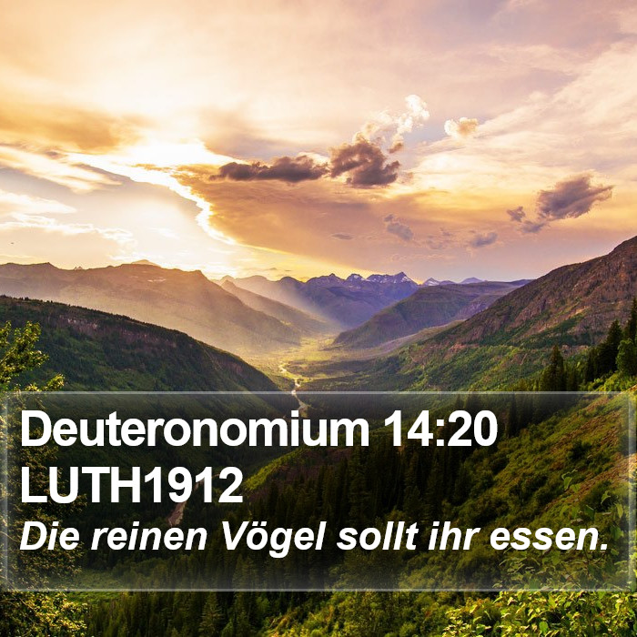 Deuteronomium 14:20 LUTH1912 Bible Study