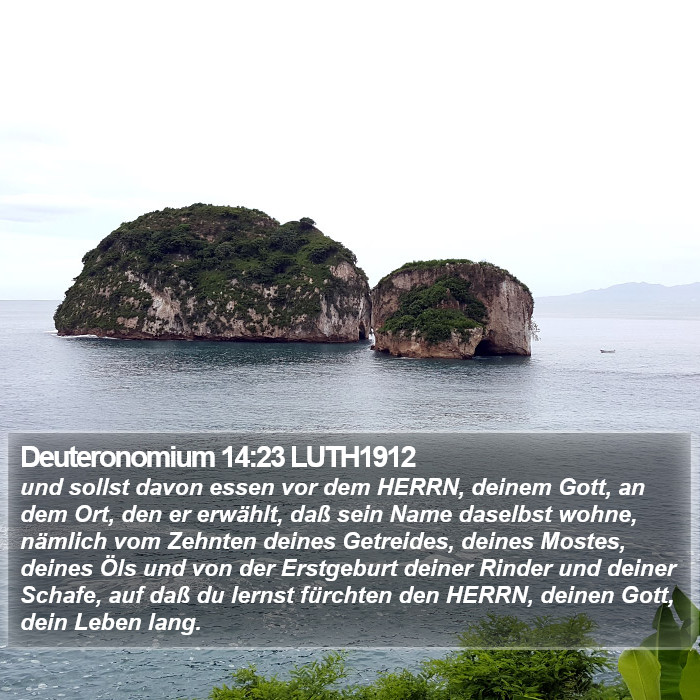 Deuteronomium 14:23 LUTH1912 Bible Study