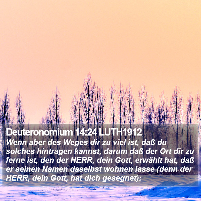 Deuteronomium 14:24 LUTH1912 Bible Study