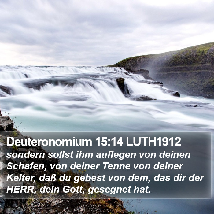 Deuteronomium 15:14 LUTH1912 Bible Study