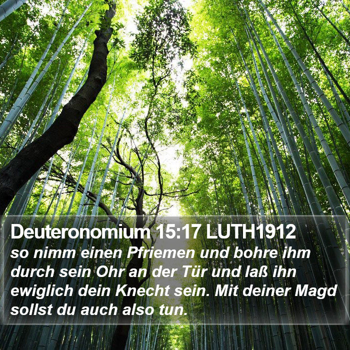 Deuteronomium 15:17 LUTH1912 Bible Study