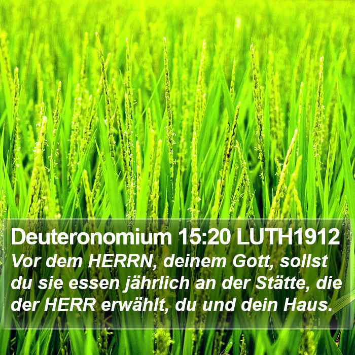 Deuteronomium 15:20 LUTH1912 Bible Study