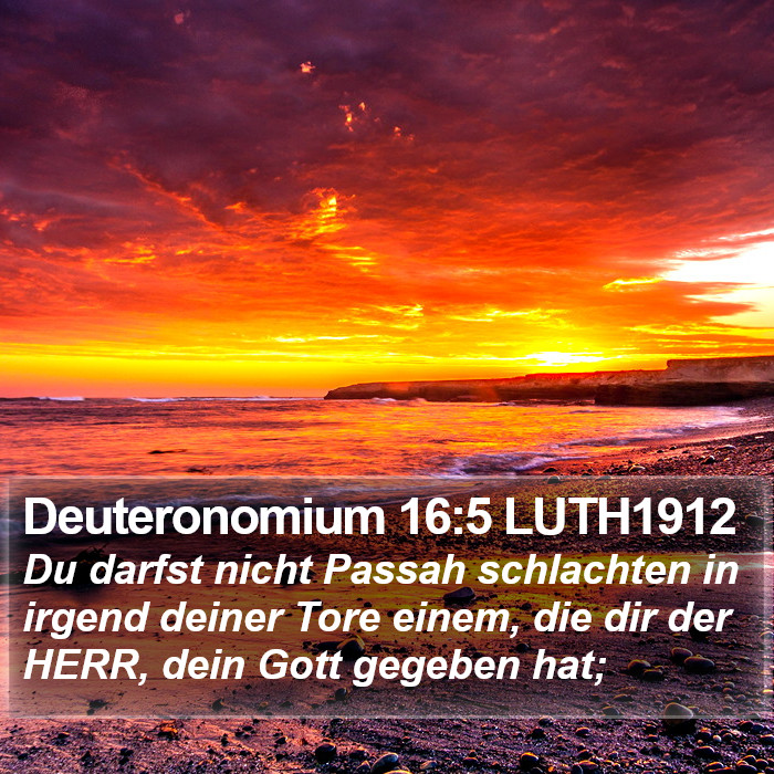 Deuteronomium 16:5 LUTH1912 Bible Study