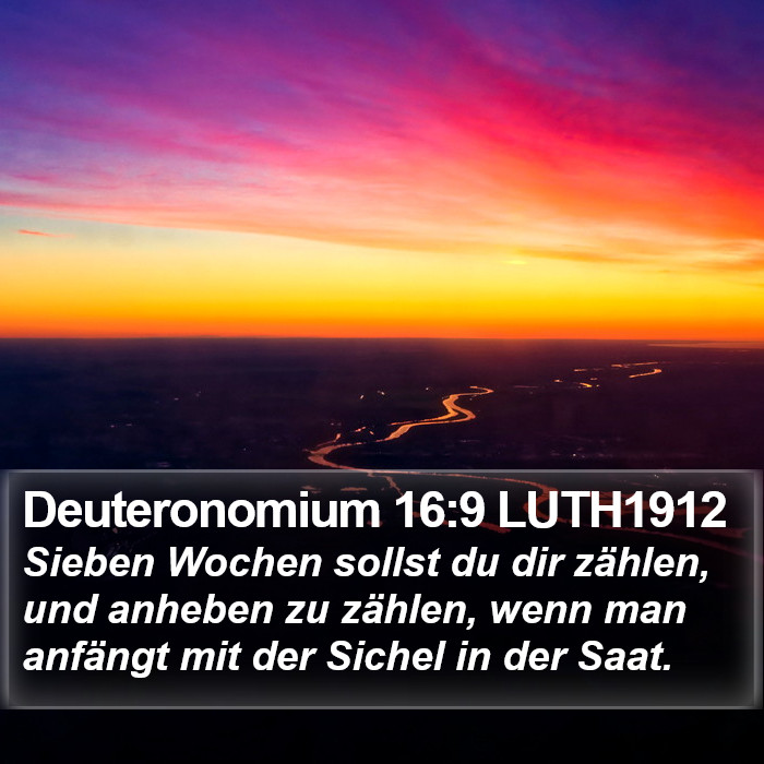 Deuteronomium 16:9 LUTH1912 Bible Study