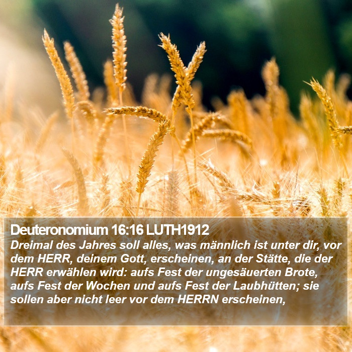 Deuteronomium 16:16 LUTH1912 Bible Study