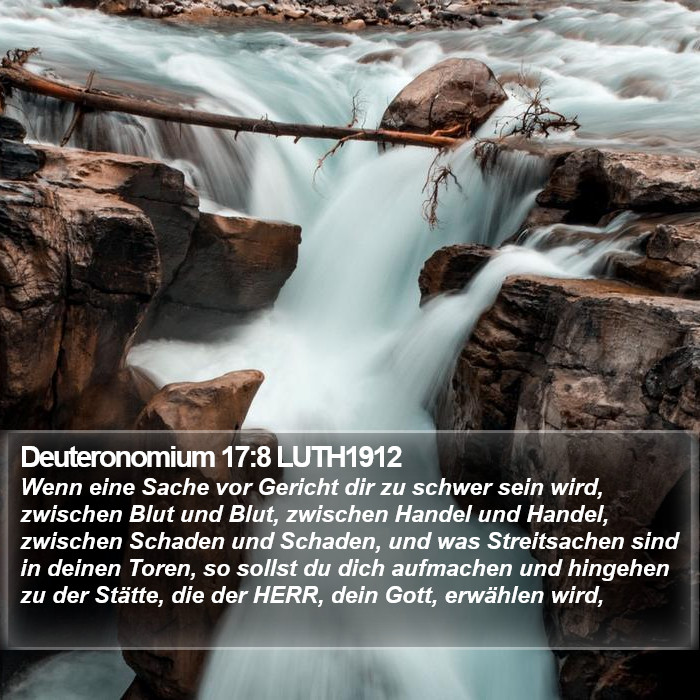 Deuteronomium 17:8 LUTH1912 Bible Study