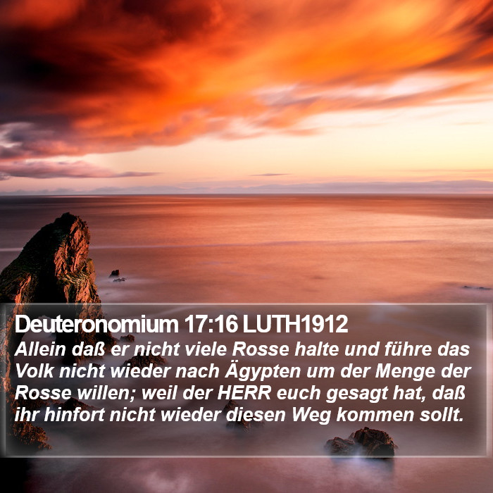 Deuteronomium 17:16 LUTH1912 Bible Study